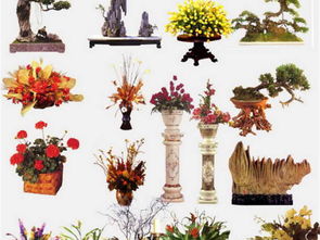 室內(nèi)設(shè)計效果圖ps后期素材庫家裝工裝ps平面圖下載 圖片718.72mb 家裝彩色平面圖大全 彩色平面圖