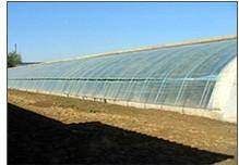 生態(tài) 農(nóng)業(yè) 工程建設(shè)的公司請選擇青州市憶美園林溫室,生態(tài) 農(nóng)業(yè) 工程建設(shè)的公司請選擇青州市憶美園林溫室生產(chǎn)廠家,生態(tài) 農(nóng)業(yè) 工程建設(shè)的公司請選擇青州市憶美園林溫室價格