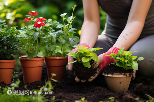 花卉苗木的科學養(yǎng)殖方法與注意事項